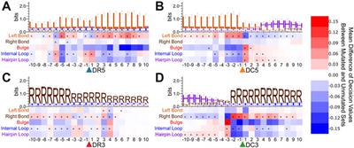 Predicting Drosha and Dicer Cleavage Sites with DeepMirCut